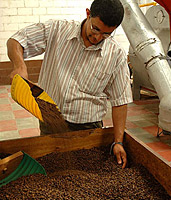 Gersteter Kaffee in der Concepcin de Ataco, Beneficio de Caf (Produktionssttte fr mehrere Kaffeebauern).  N.Bruhn/CariLat
